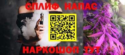 PSILOCYBIN Гатчина