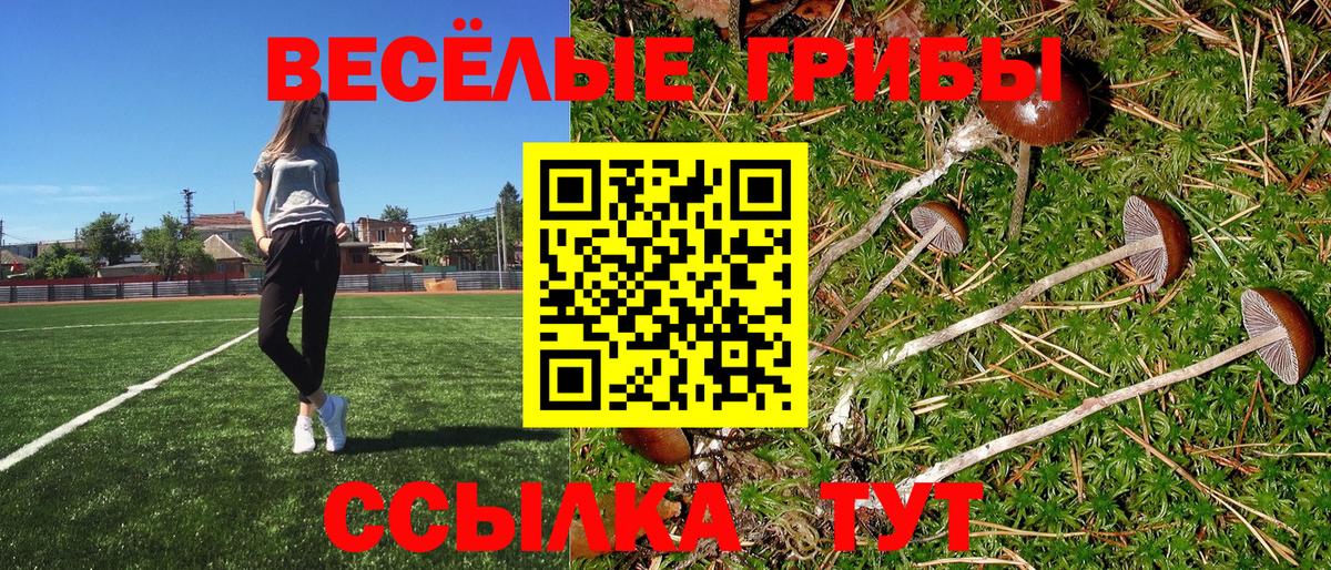Галлюциногенные грибы Psilocybe Жигулёвск